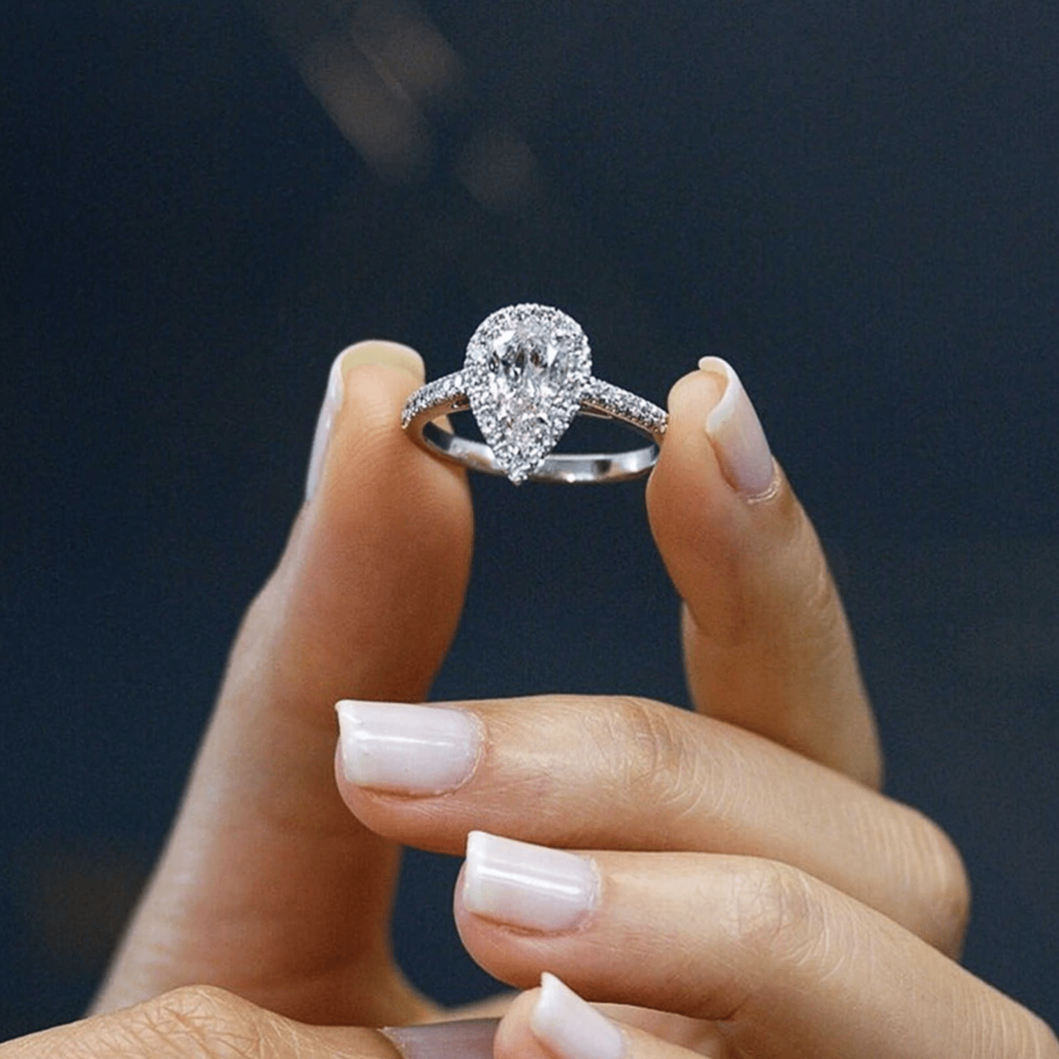 Silvana Terranova Ring | White Gold